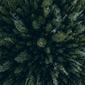 PRIVATE LISTING FOR slp5b0